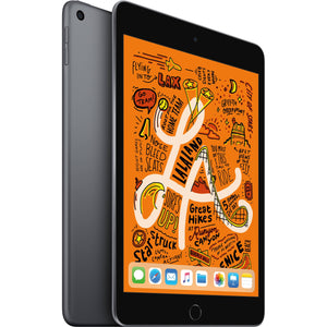 Apple 7.9" iPad mini (Early 2019, 64GB, Wi-Fi Only, Space Gray)